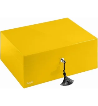 Caseti Humidor Paris gul
