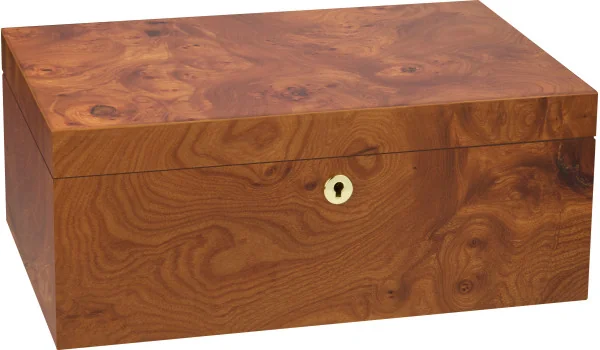 adorini Humidor Elm Burl Specially Selected Grande