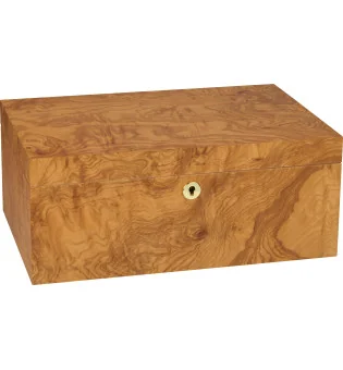 adorini Humidor Olive Ash Burl Specially Selected Grande