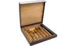 Bulldog by Dunhill reise-humidor 10 lilla