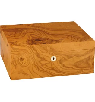 adorini Humidor Salento Olivenburl Medium Deluxe