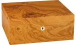 adorini Humidor Salento Olivenburl Medium Deluxe