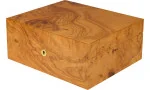 adorini Humidor Salento Olivenburl Medium Deluxe foto 15