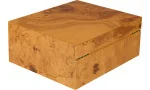 adorini Humidor Salento Olivenburl Medium Deluxe foto 17